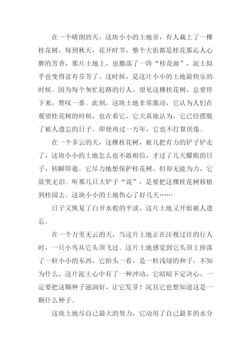 被遗忘的角落作文800字.docx