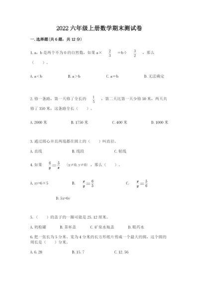 2022六年级上册数学期末测试卷审定版.docx