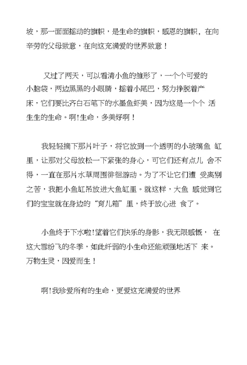 小学六年级毕业考试作文关于动物的话题