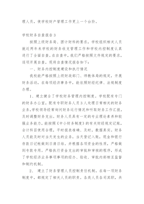 学校财务自查报告.docx