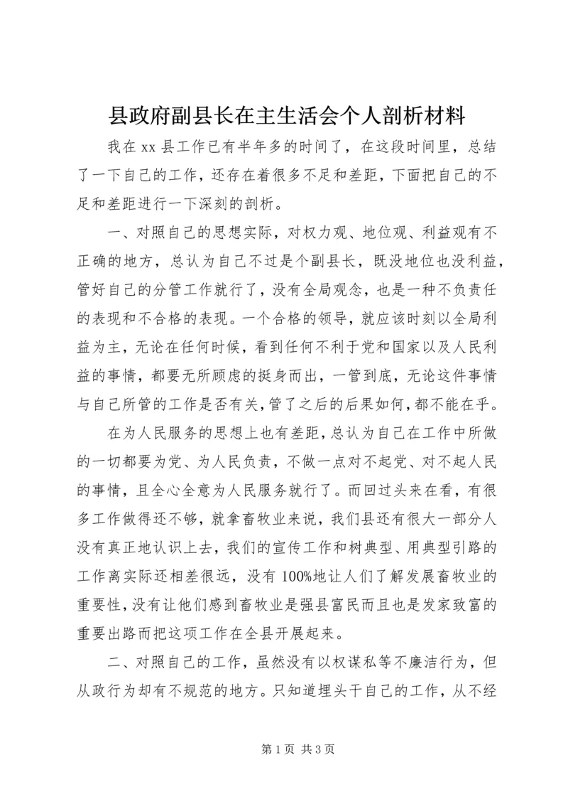 县政府副县长在主生活会个人剖析材料.docx