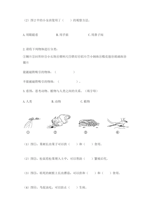 教科版二年级上册科学期末测试卷精品【全优】.docx