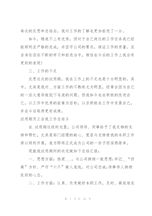 试用期员工自我工作总结.docx