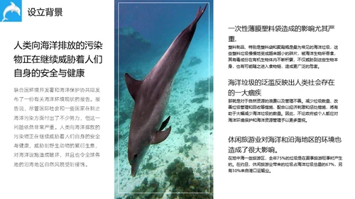 世界海洋日海豚通用PPT模板