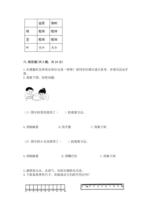 教科版科学一年级上册期末测试卷（考点梳理）.docx