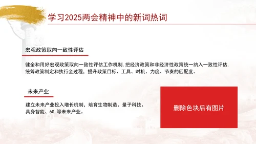 学习2025两会精神中的新词热词ppt课件