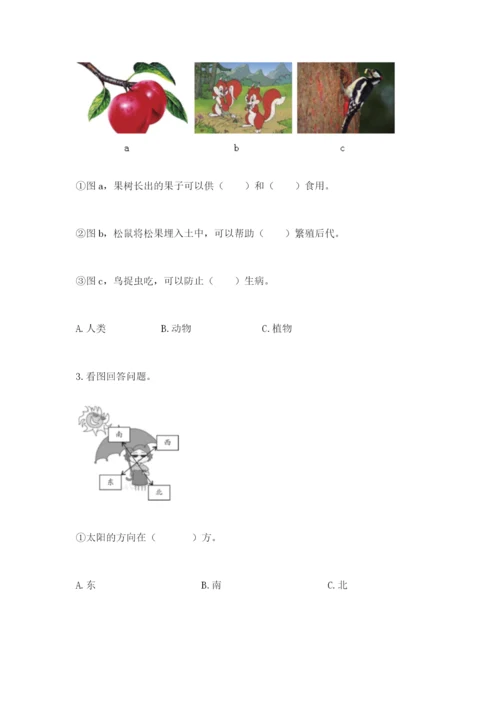 教科版二年级上册科学期末测试卷含完整答案（典优）.docx