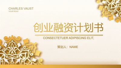 高端霸气创业融资计划书商业计划书PPT模板