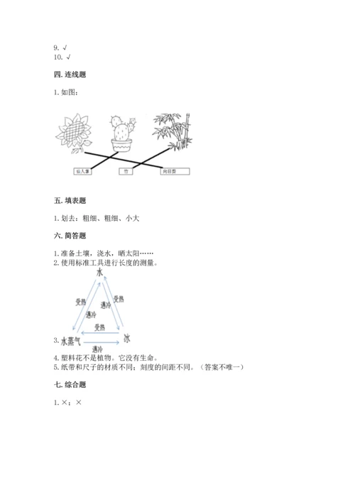 教科版一年级上册科学期末测试卷精品（模拟题）.docx