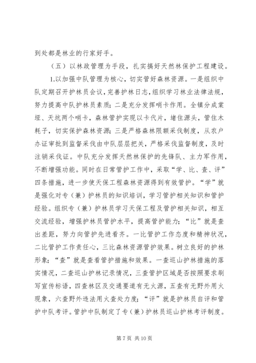 乡镇林业站工作总结_1.docx