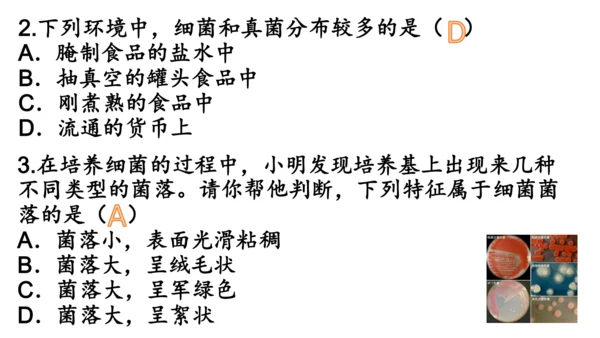 人教版生物八年级上册5.4.1《细菌和真菌的分布》课件(共22张PPT)