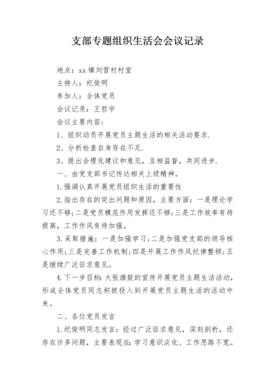 支部专题组织生活会会议记录.docx