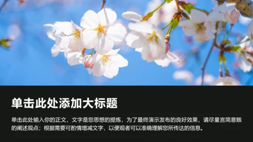 MBE风格企业宣传册通用PPT模板