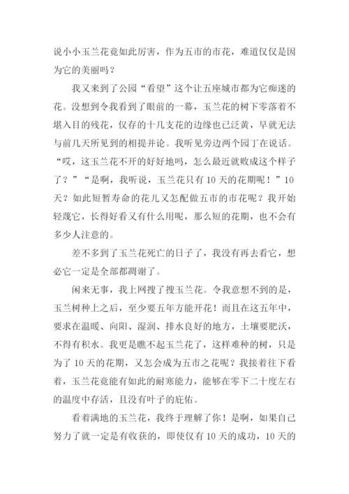 我终于理解了你作文.docx