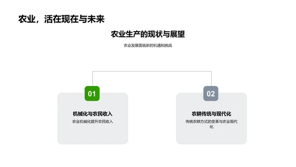 小满节气文化探究PPT模板