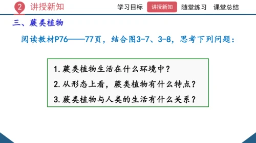 3.1.1 藻类、苔藓和蕨类植物课件 2023--2024学年人教版生物七年级上册(共26张PPT)