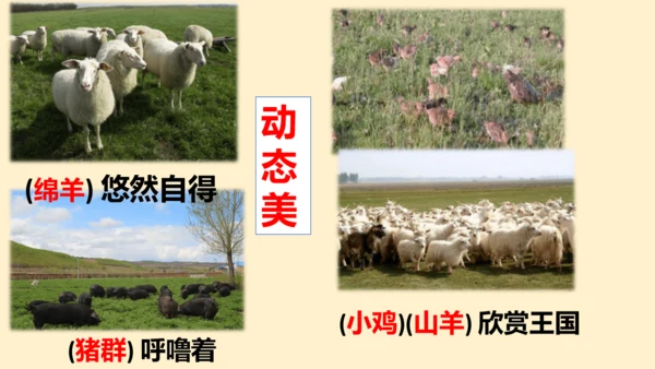 19牧场之国（课件）
