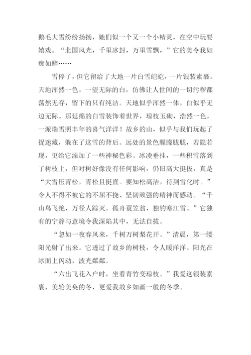 冬天的家乡作文.docx