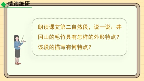 20 井冈翠竹 课件