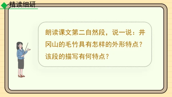 20 井冈翠竹 课件