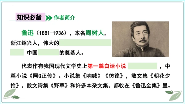 18 中国人事掉了自信力吗【2024秋统编九上语文情景教学课件】