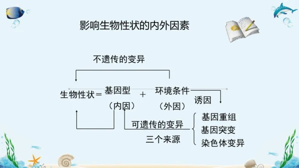 人教版八年级下册生物复习课件