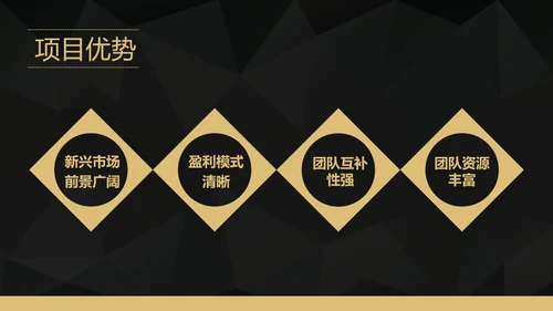 互联网APP融资路演创业计划书PPT模板