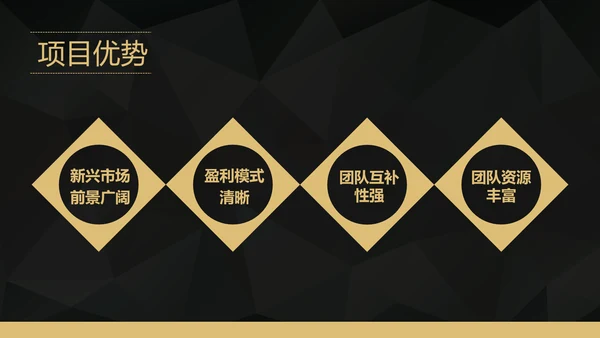 互联网APP融资路演创业计划书PPT模板