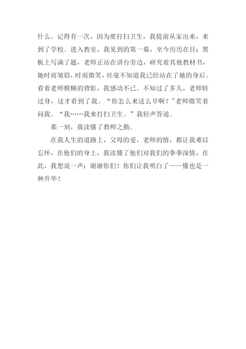 懂-是一种升华作文.docx