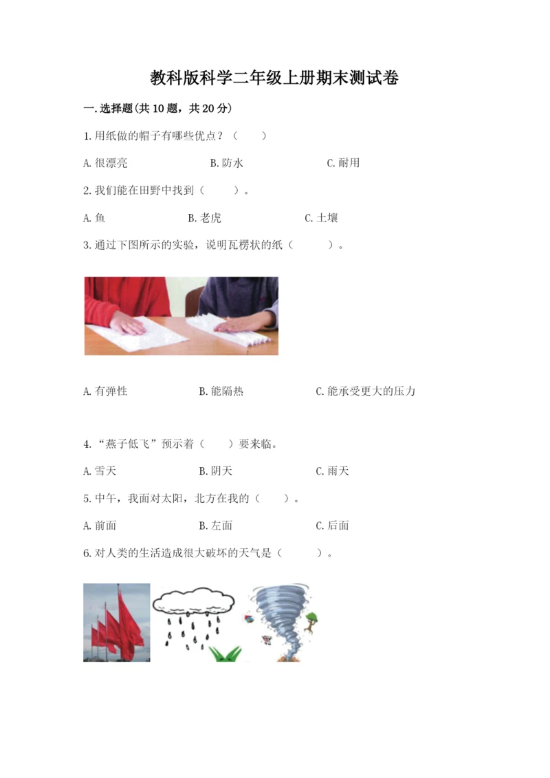 教科版科学二年级上册期末测试卷a4版.docx