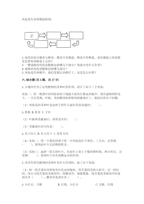 教科版科学四年级下册第一单元《植物的生长变化》测试卷及答案一套.docx