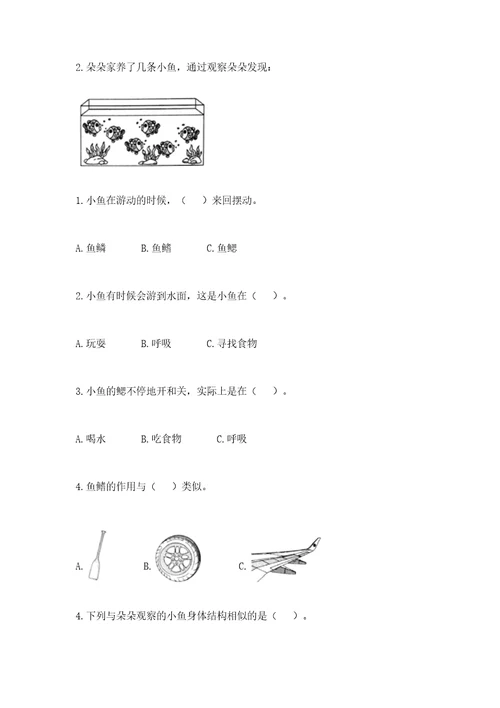 教科版一年级下册科学期末测试卷带答案考试直接用