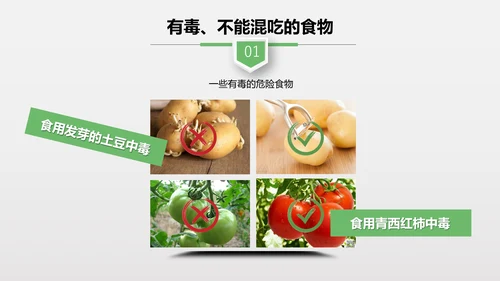 食品安全营养学饮食科普PPT模板