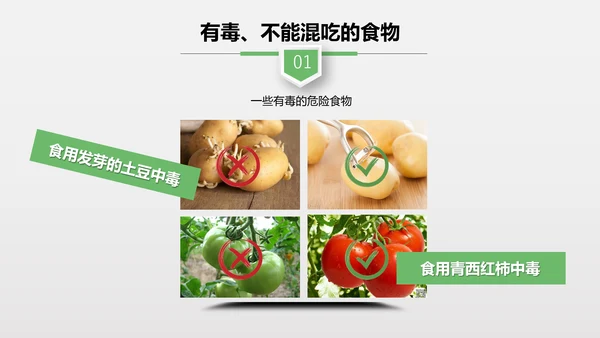 食品安全营养学饮食科普PPT模板