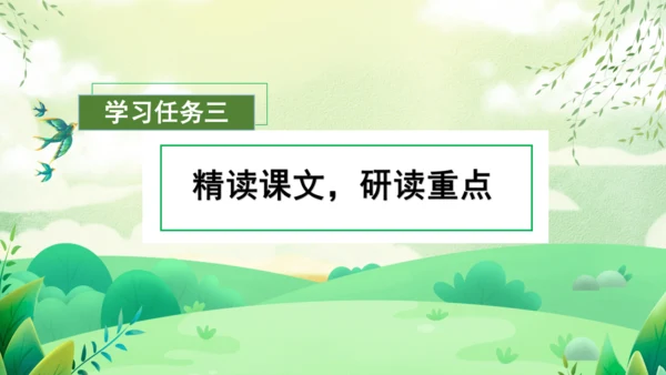 17小猴子下山（教学课件）