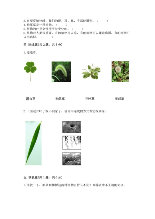 教科版科学一年级上册第一单元《植物》测试卷重点.docx