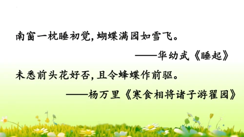 11.我是一只小虫子 课件