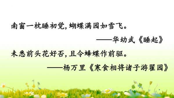 11.我是一只小虫子 课件
