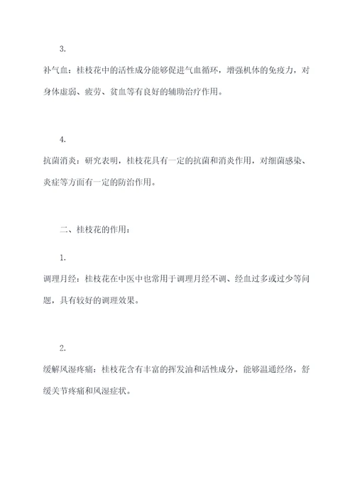 桂枝花功效和作用禁忌