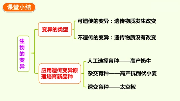 7.2.5生物的变异-八年级生物人教版下学期同步精品课件(共34张PPT)