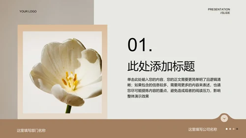 褐色极简风格品牌通用PPT演示模板