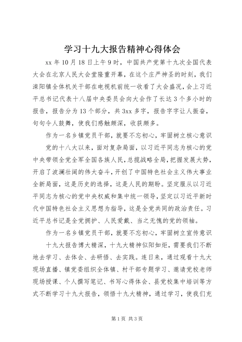学习十九大报告精神心得体会 (16).docx