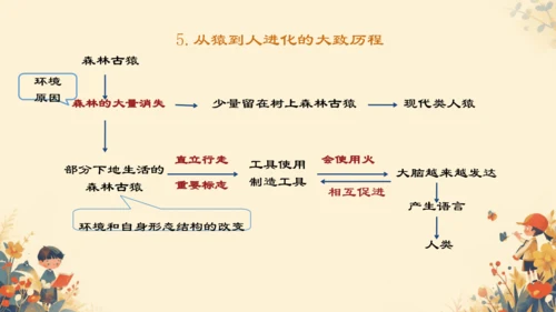 4.1.1人的起源和发展课件(共17张PPT)人教版七年级下册