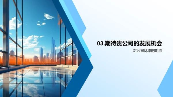 职业规划与卓越追求