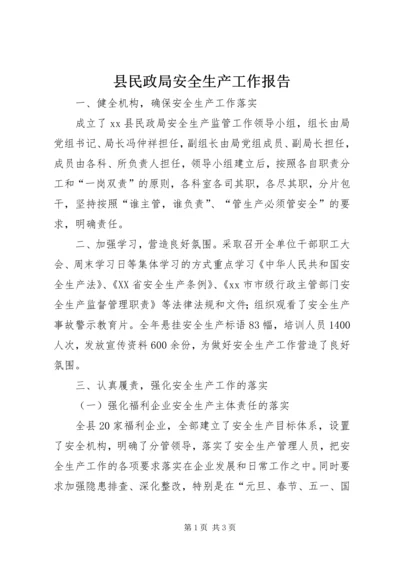 县民政局安全生产工作报告.docx