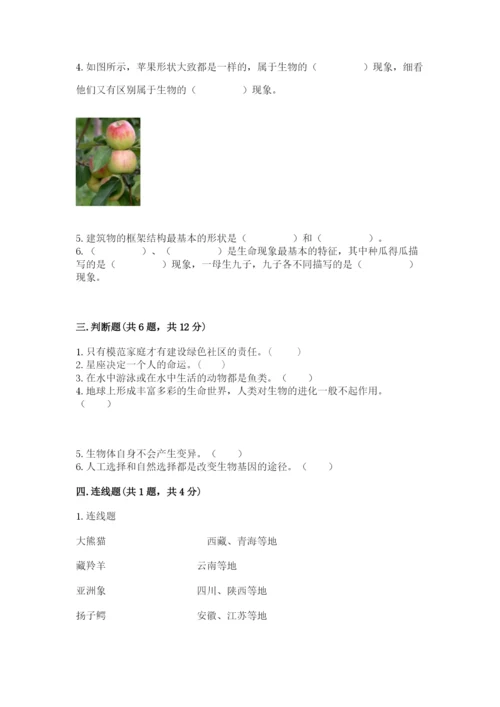 教科版科学六年级下册期末测试卷精品【全优】.docx