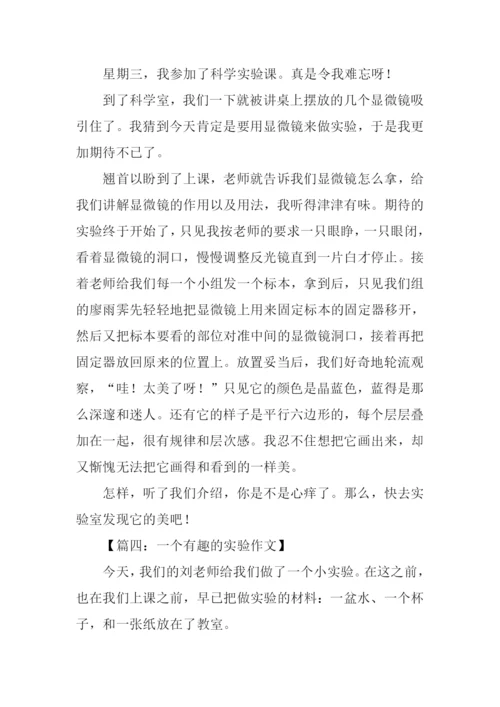 一个有趣的实验作文.docx