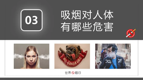 世界无烟日禁止吸烟有害健康PPT模板