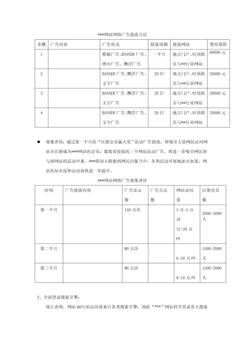 试谈网站推广方案.docx