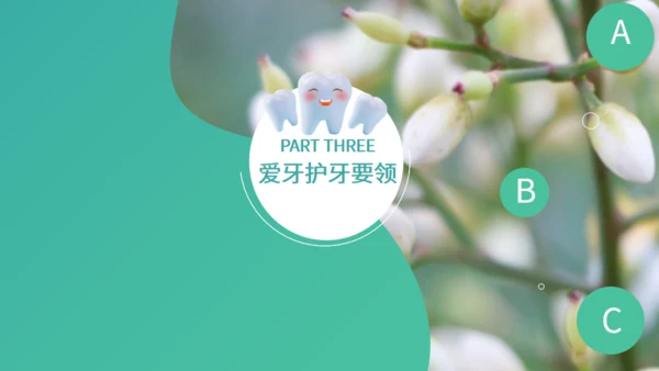 绿色简约国际爱牙日保护牙齿通用PPT模板